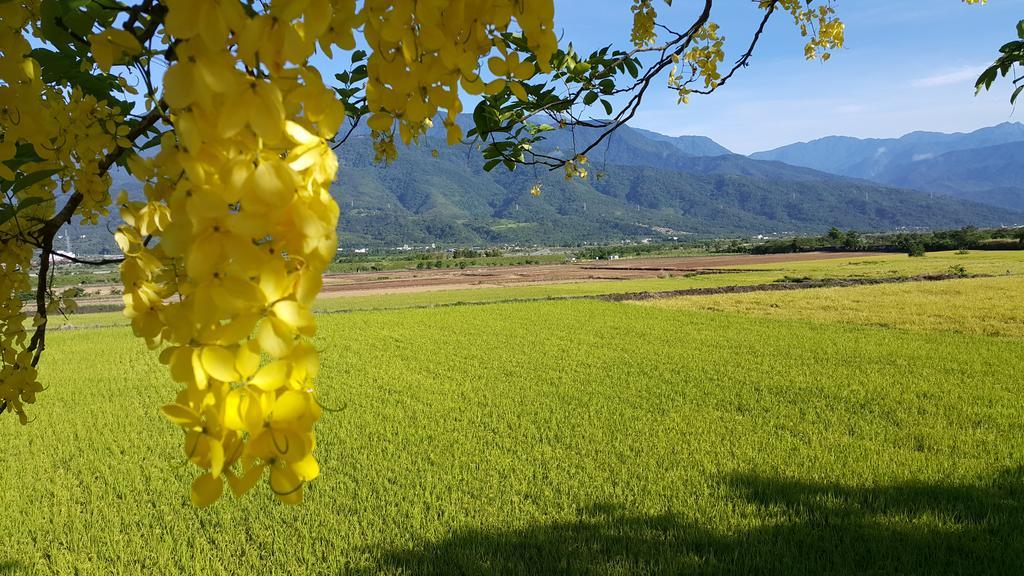 7 Milefog B&B Yuli Ngoại thất bức ảnh