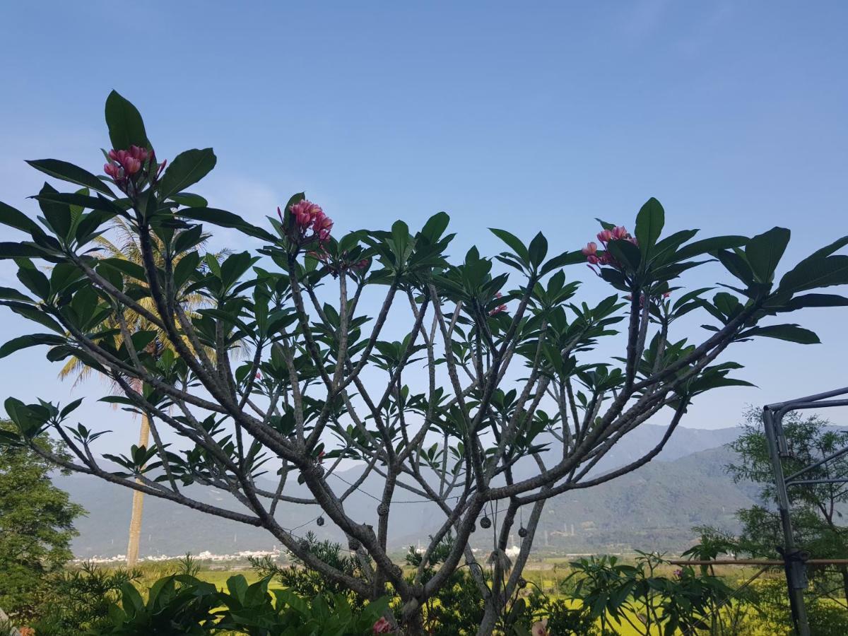 7 Milefog B&B Yuli Ngoại thất bức ảnh